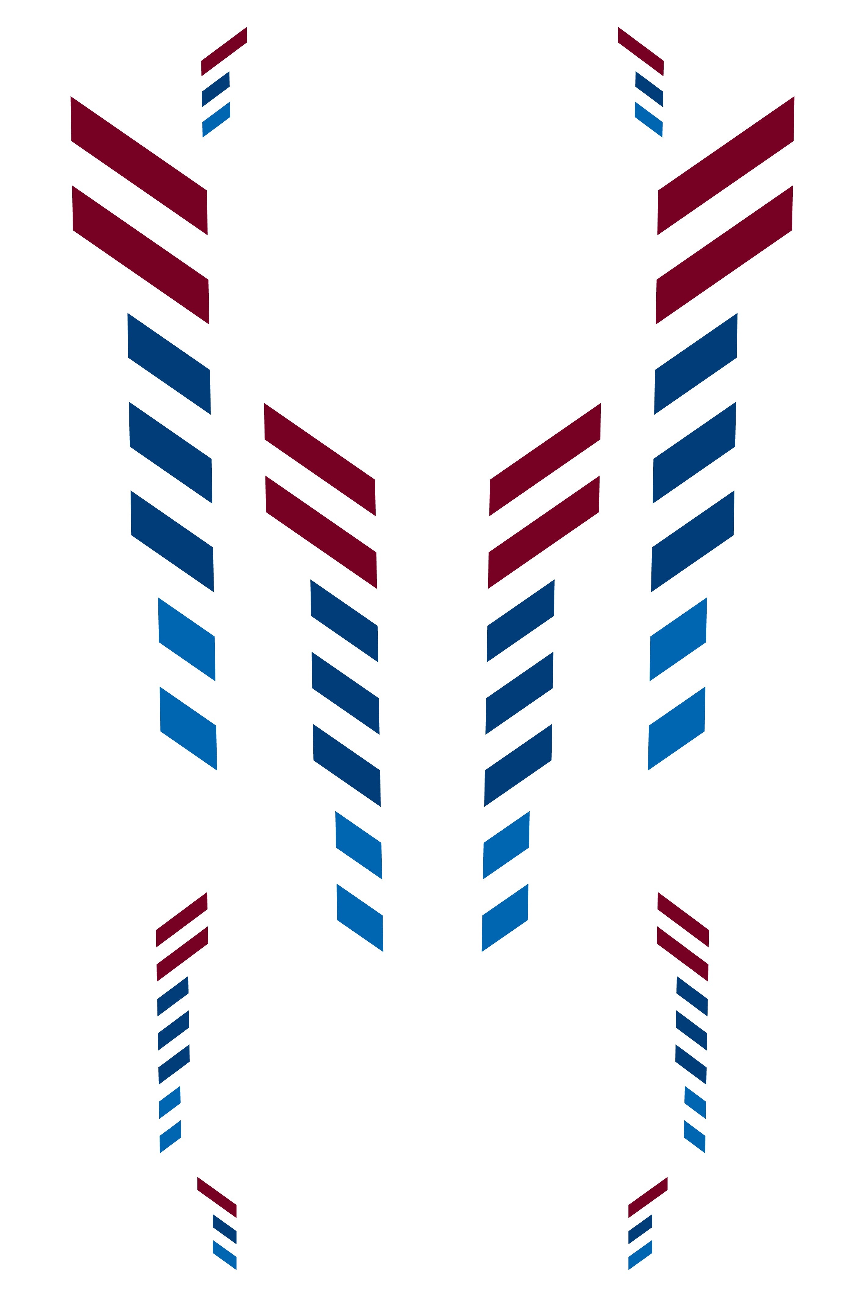 Detalle cercano del patrón de doble línea del vinilo Racing Stripes para BMW. El material de este vinilo es de alta resistencia y flexible, apto para la curva del capó y tolerante a la limpieza con agua a presión.