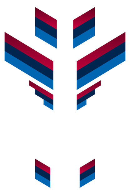 Detalle cercano del patrón de gradiente o transición de color en el vinilo Dynamic Gradient para BMW. Este vinilo de personalización es flexible y permite una instalación precisa, destacando el sofisticado efecto visual de las franjas.