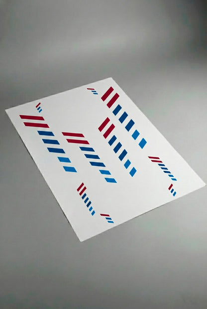 Pliego de vinilos adhesivos precortados para las Franjas Racing Stripes de BMW. Este vinilo es de larga duración, listo para ser enviado e instalado por el cliente en casa, ideal para renovar el look del coche de forma rápida y sencilla.